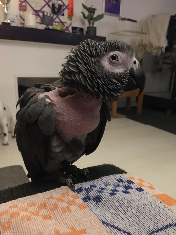 CF10C58C-F1A1-4BFB-B2B3-3308F5761CC8.jpeg