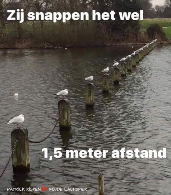 77650FC2-78B3-4653-9BE3-69150FB12E20.jpeg