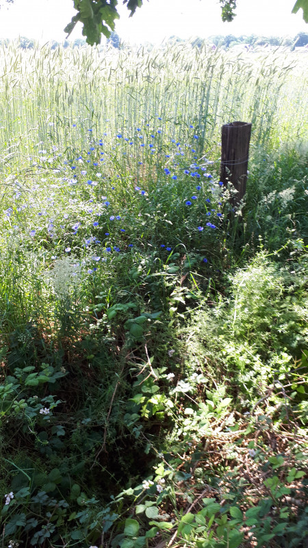 20200621_142431.jpg