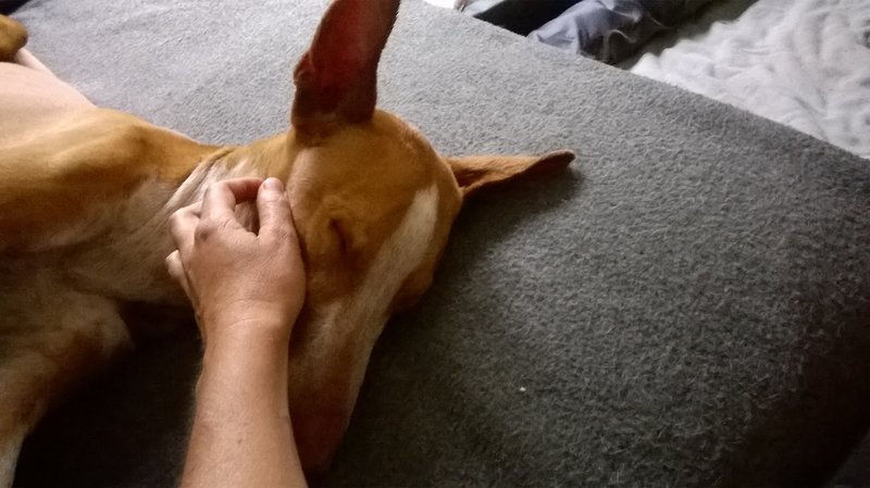 WP_20170712_10_22_02_Pro.jpg