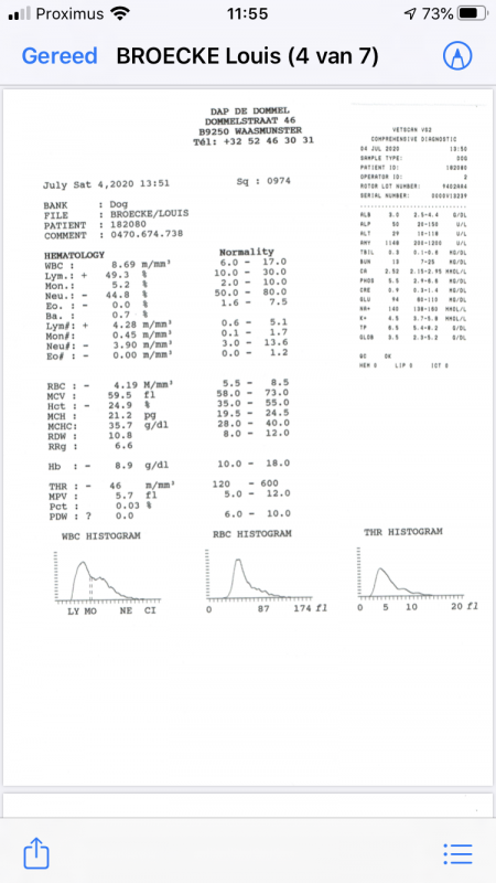 E6FD22D4-7C4D-4509-A742-1C7B1AC865BB.png