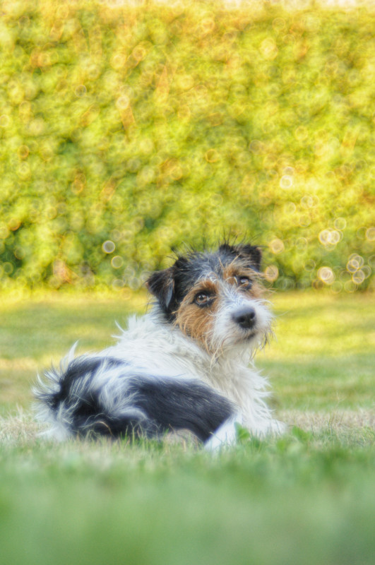 DSC_0614-01.jpeg