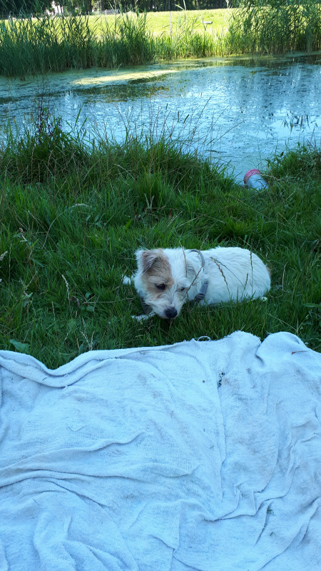 20200807_151508.jpg