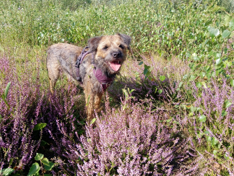 20200821_170139.jpg