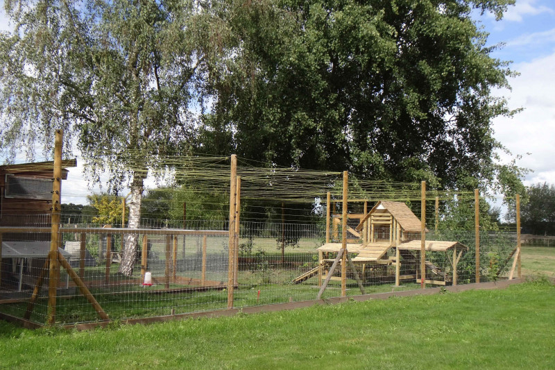 PSX_20200910_195148.jpg