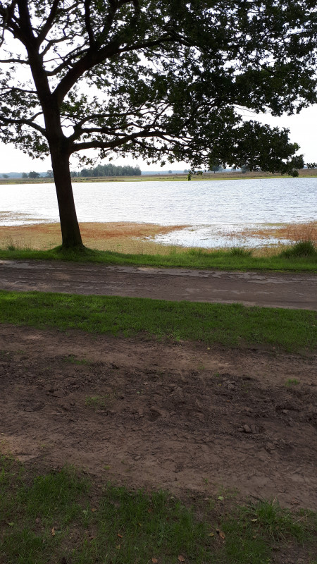 20200913_122448.jpg