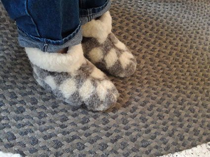 20200912_085251.jpg