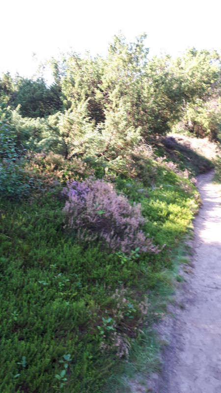 20200914_110918.jpg
