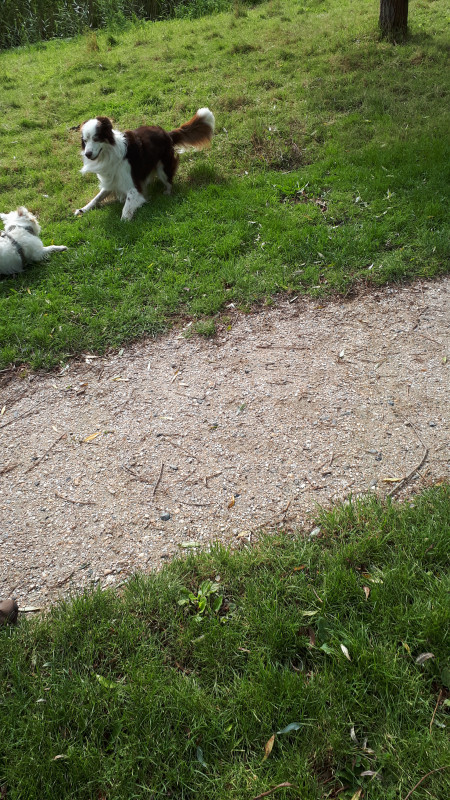 20200926_124846.jpg