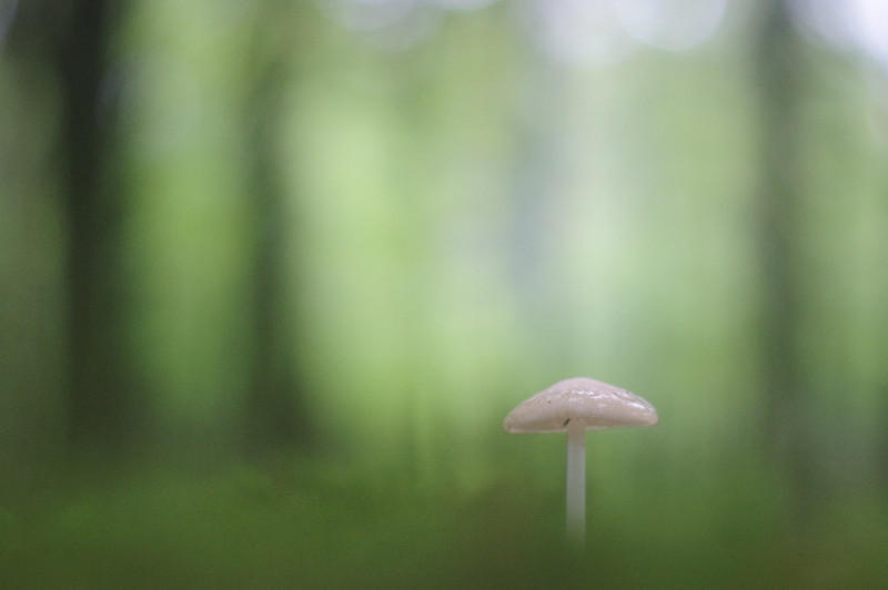 DSC_0043-02.jpeg