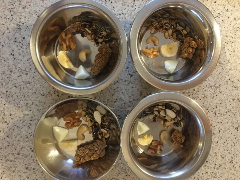 B5C1C07D-0A64-45EA-A906-65E0AB9ECAE0.jpeg