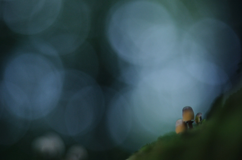 DSC_0108-02.jpeg