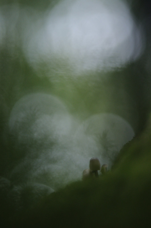 DSC_0120-01.jpeg