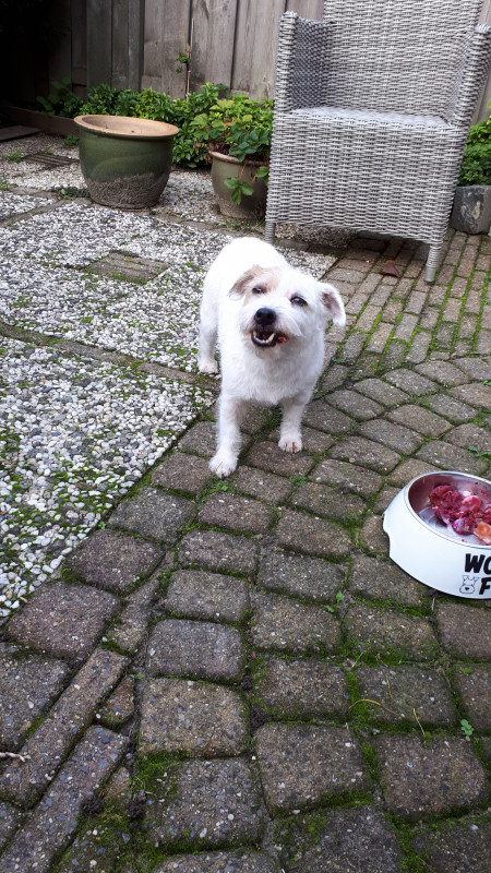 20201013_170514.jpg