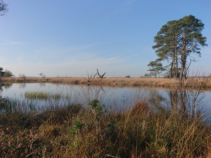 DSC_0327.JPG