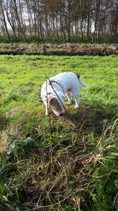 20201107_114753.jpg