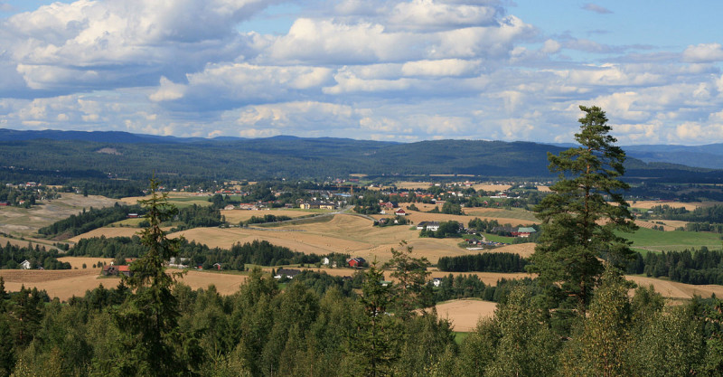 A252674A-C01D-42EC-97F3-972F6D002C62.jpeg