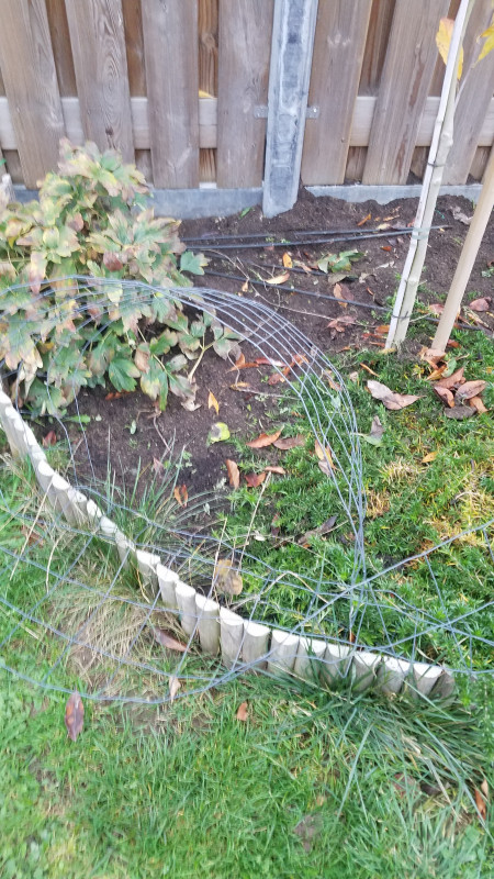 20201112_164403.jpg