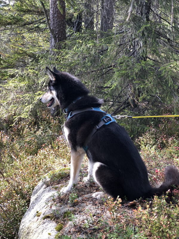 AB003DE5-F4BE-4004-AAE9-79798F1A1139.jpeg
