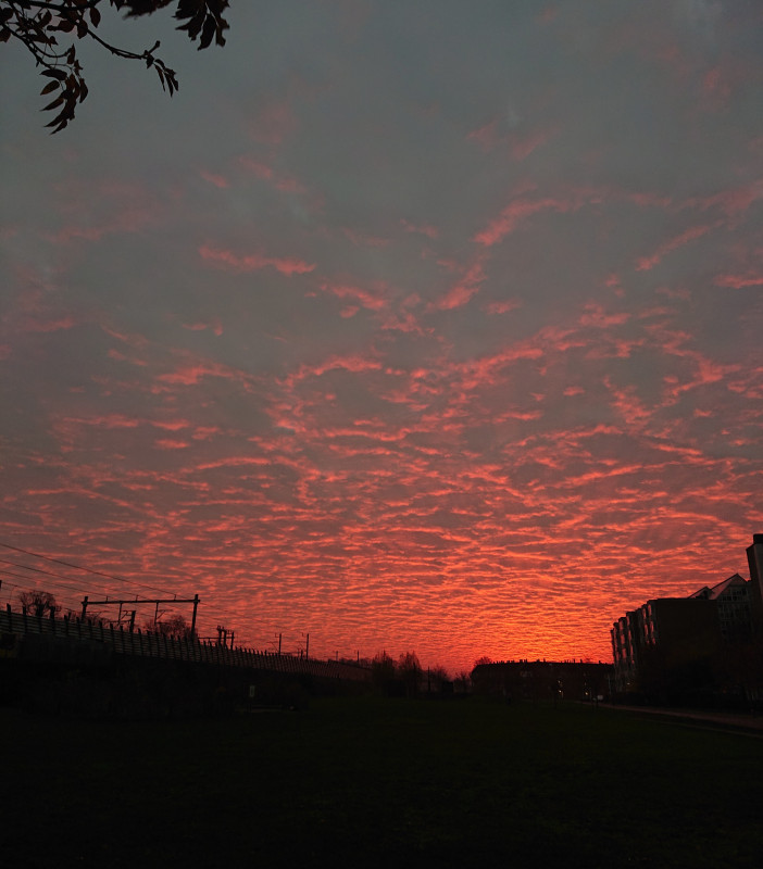 DSC_0409.JPG