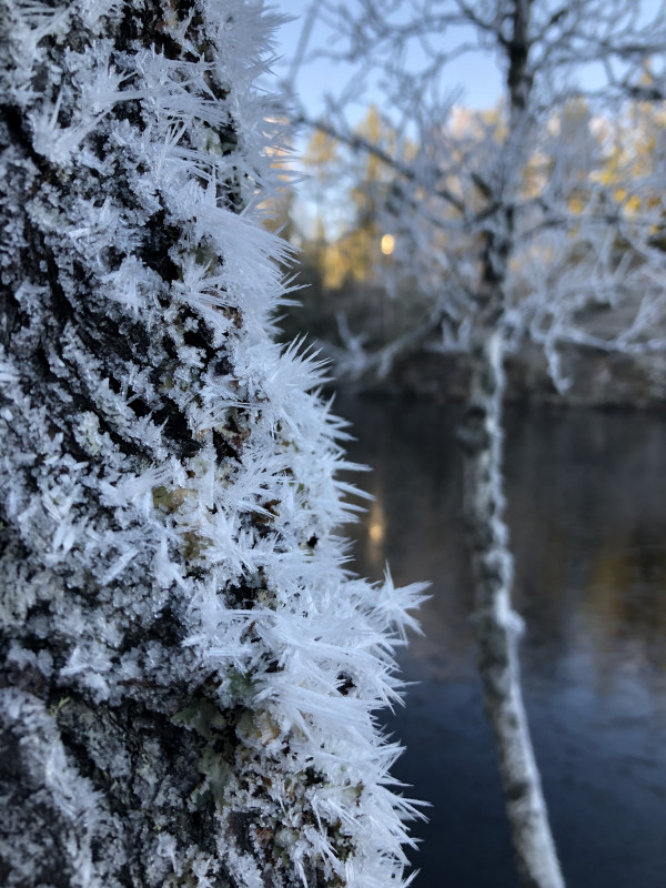 DC3C4D0B-4A11-44AA-998A-EF447B89D038.jpeg