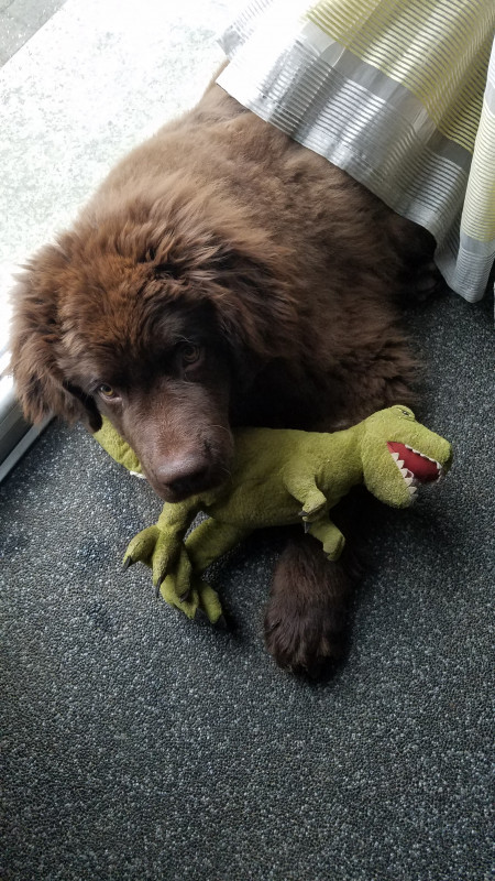 20201203_102409.jpg