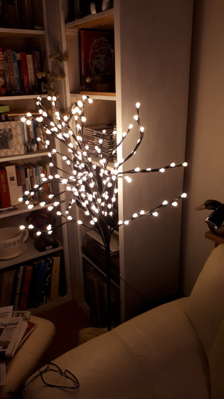 20201206_190942.jpg