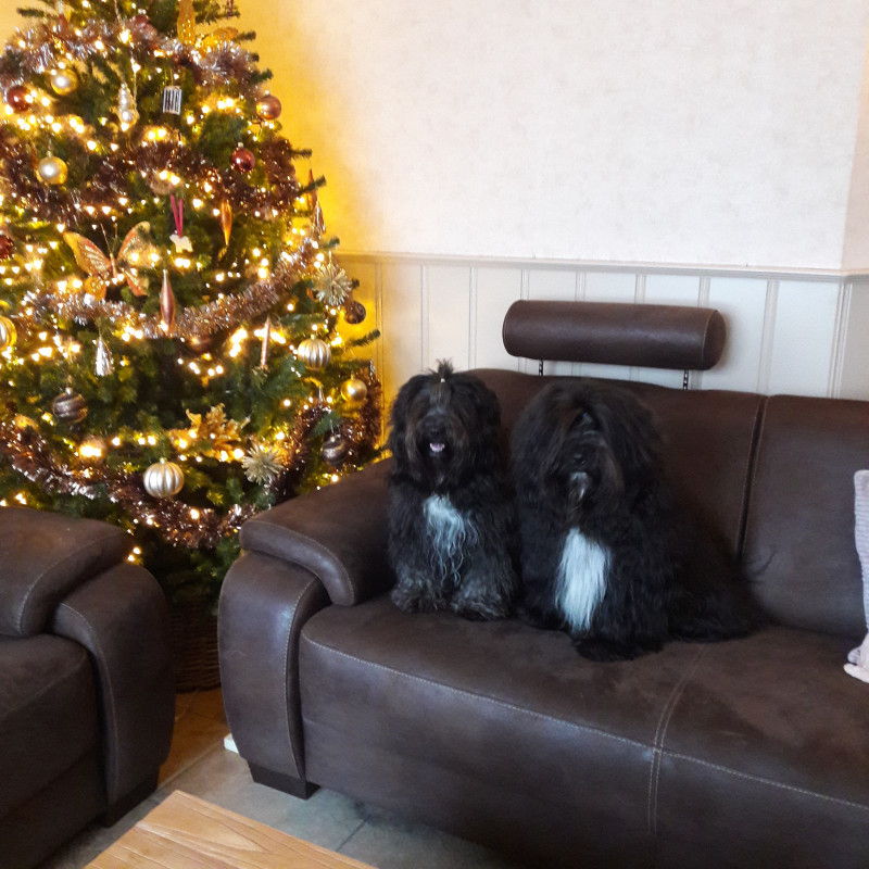 20201206_145211.jpg