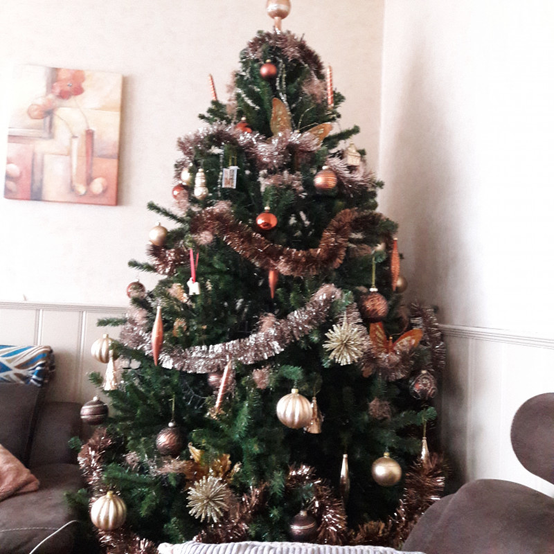 20201207_115842.jpg