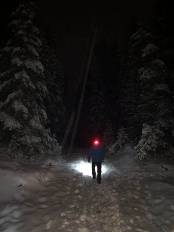11B86C0A-1D2D-4566-8E62-567C5D06CAA2.jpeg