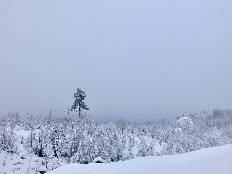 31015765-EE3F-4933-836A-663F1745B9C5.jpeg