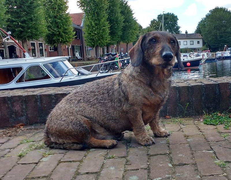 jorisblokzijl.jpg