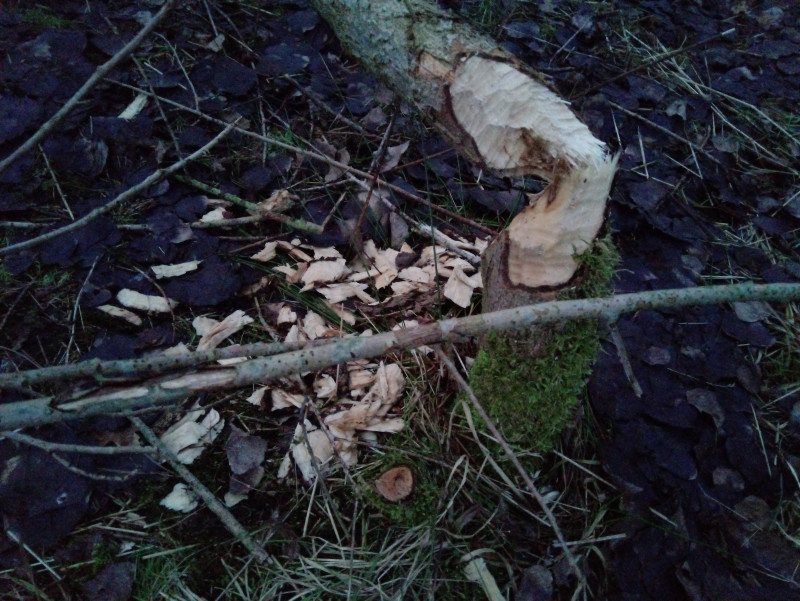 20210125_172747.jpg