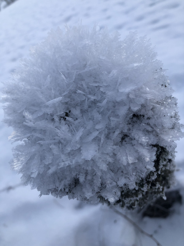 A405BA0D-165B-4105-A778-209BC94ED719.jpeg