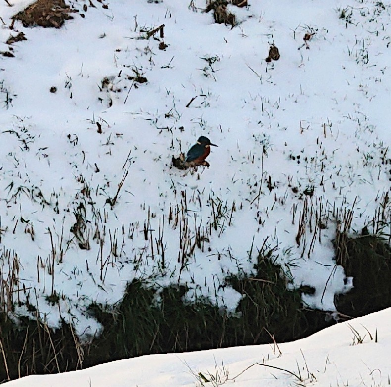 DSC_0680.JPG