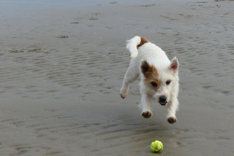 aan zee 023.JPG