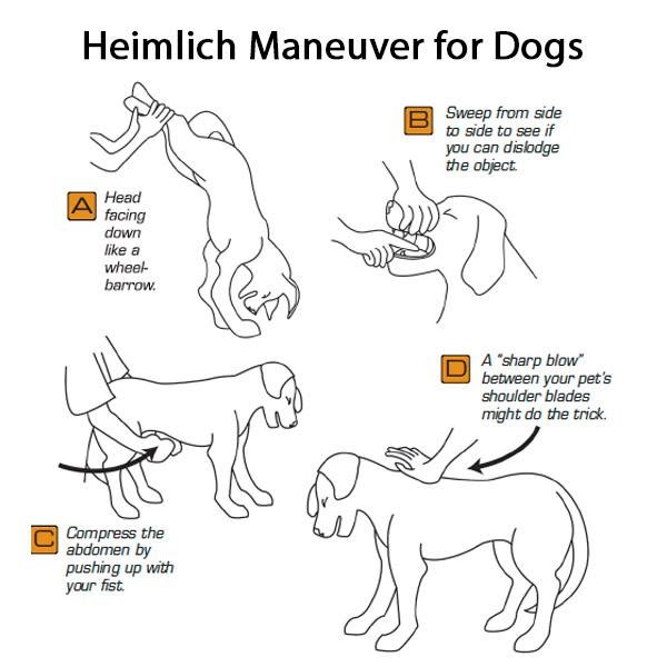 heimlich-3 (1).jpg