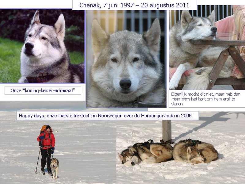 Chenak_in memoriam.jpg