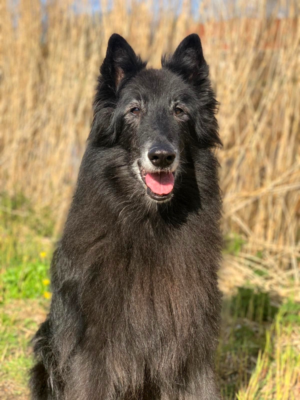 173872911_452067489389099_6288631616644272285_n.jpg