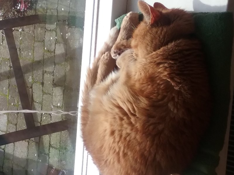 20170321_150329.jpg