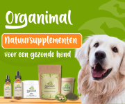 Organimal