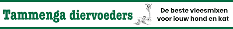 Sponsor